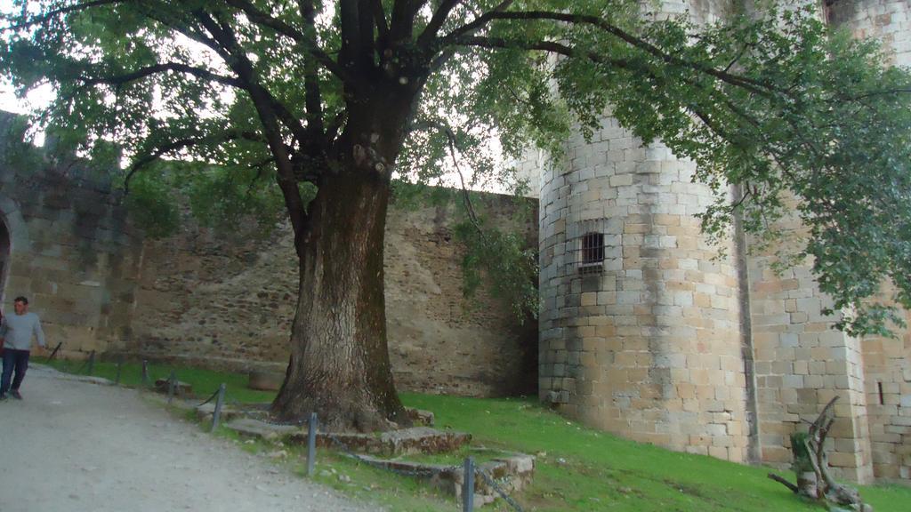 Casas Rurales El Caminante Aldeanueva del Camino Buitenkant foto